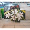 Frangipani Flower Painting-DSW14-0003